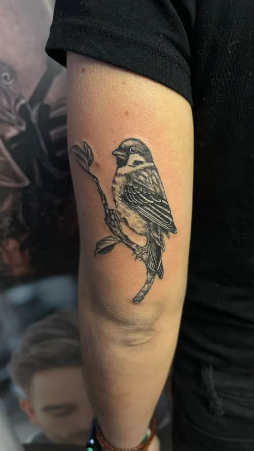 Tatuaje realista de un gorrión sobre una rama en el brazo